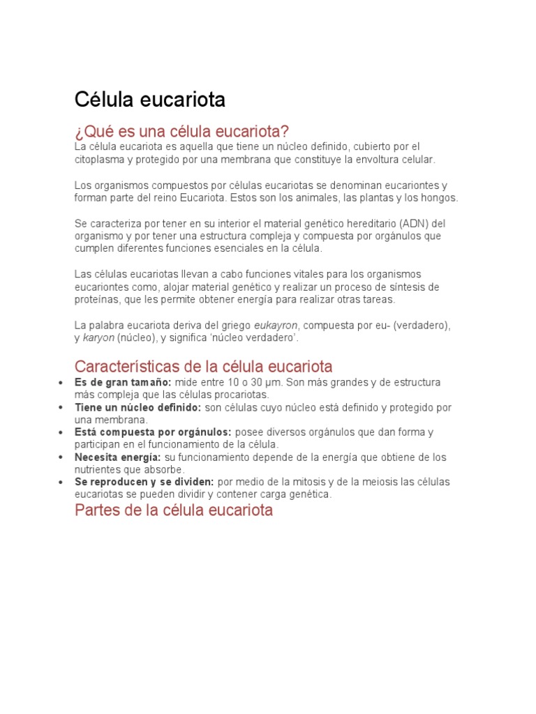 Estructura y características de células eucariotas | PDF | Biología ...