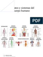 Aparatos y Sistemas Del Cuerpo Humano