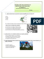 Prueba de Diagnóstico de Ciencias