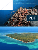 The Magnificent Seven of Marine National Parks Indonesia
