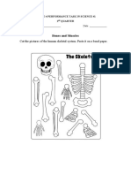 Cut The Pictures of The Human Skeletal System. Paste It On A Bond Paper