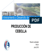 EDA Produccion Cebolla