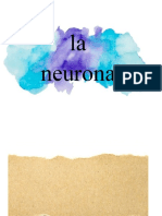 La Neurona 3 Ideas