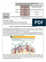 Guía 2 Grado 6° Ciencias