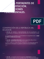 Normas Pertinentes de La Constitución, Disposiciones Fundamentales