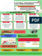 Monitoreo, Fases, Recolección de Datos, Indicadores