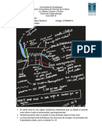 Anatomia y Fisiología Coloprocto