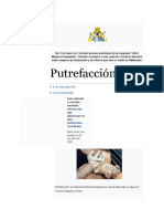 putrefacción