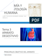 Tema 3. Digestivo