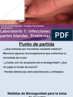 Infecciones de piel y partes blandas