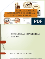 Patologías congénitas y adquiridas del SNC