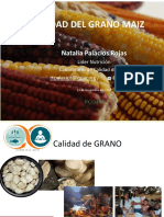 Calidad Del Grano de Maiz