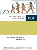 Lesson 4-The Evolution and The Human Pre History