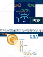 Genoma Gen