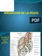 Irrigacion de La Pelvis