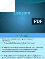 Lisosom