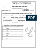 Singular and Plural Worksheet - Preliminary