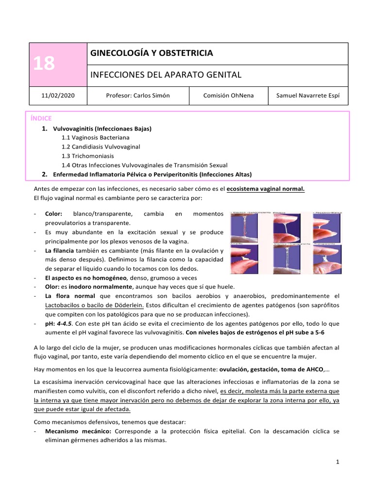 Tema 18 Infecciones Del Aparato Genital Pdf Vagina Medicina