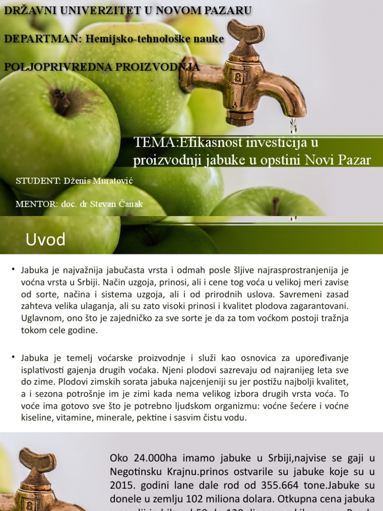 Prezentacija | PDF