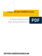 Praktikum Embriologi Kardiorespirasi 2019 - 2020