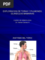 Download Exploracion de Torax y Pulmones by Irn Medina SN56503208 doc pdf