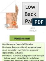 Low Back Pain Guide
