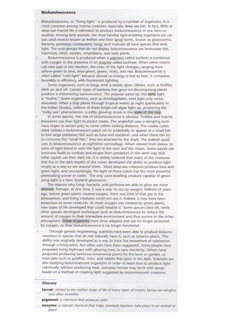 Bioluminescence Reading PDF