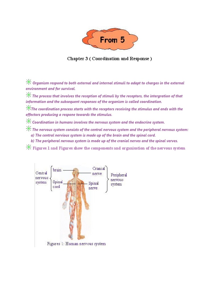 Short Note Biology Form 5Chapter 3 Coordination and Response