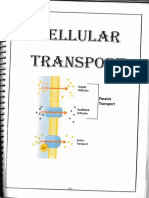 Classified - Cell Transport