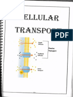 Passive and Active Transport Mechanisms