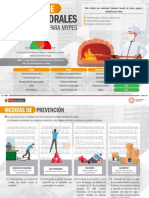 Prevencion de Riesgos Laborales para Las MYPE - MTPE