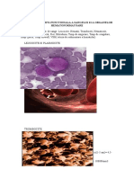 Evaluarea Morfo-Functionala A Sangelui Si A Organelor Hematoformatoare