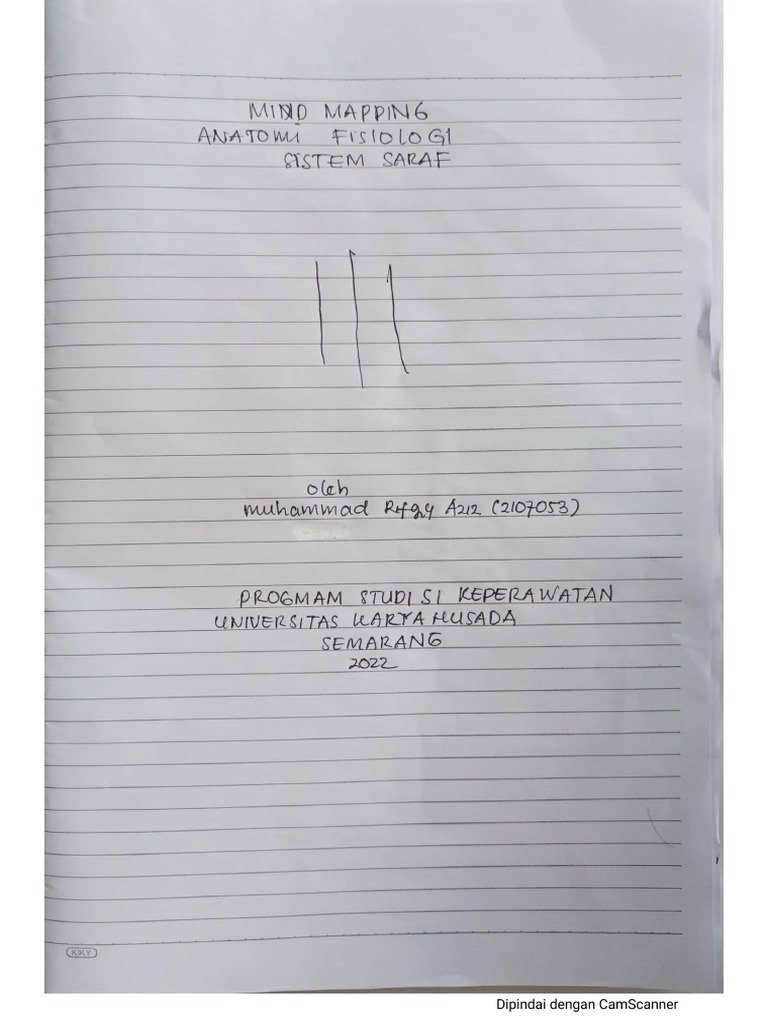 Mind Mapping Dan Makalah Sistem Saraf Muhammad Rifqy Aziz (2107053) | PDF
