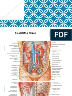 ANATOMIA RENAL 