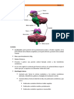 Biologia Parte IV