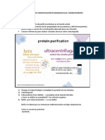 Lab 5 - Práctica 5 Separación e Identificación de Biomoleculas