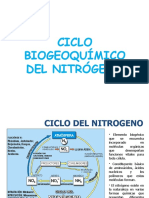 Ciclo biogeoquímico del nitrógeno: transformaciones y organismos clave