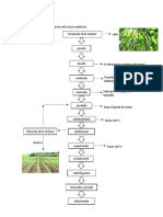 Diagrama de Flujo de La Elaboración Del Azúcar Andalusí