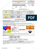 DQ - ICSC 0360 Hidróxido de Sódio 48%