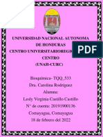 Universidad Nacional Autonoma de Honduras Centro Universitarioregional Del Centro (Unah-Curc)