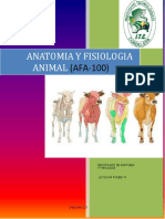 Anatomia y Fisiologia Animal