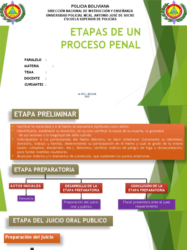 Etapas del Proceso Penal en Bolivia | PDF | Sentencia (ley ...