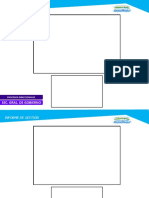 Formato_Informe_30_DIAS[1]