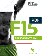 F15 Principiante
