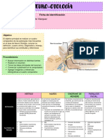 Cuadro Comparativo Neuro-Otología