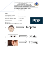 Soal Uts Genap Kelas 2 Tunagrahita