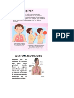 Funciones Del Sistema Respiratorio