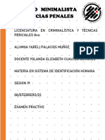 SISTEMA DE IDENTIFICACION_EXAMEN_I