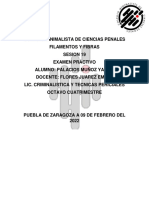 ANALISIS DE FILAMENTOS_EXAMEN1