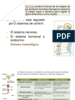 Endocrino Clase de La Practica 1